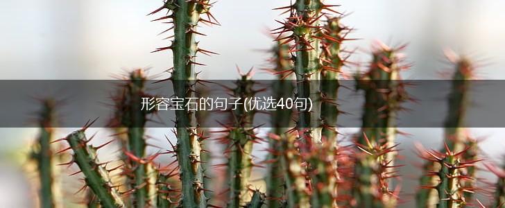 形容宝石的句子(优选40句),第1张