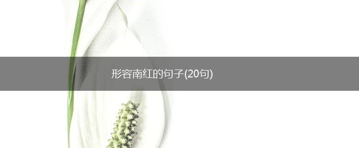 形容南红的句子(20句),第1张