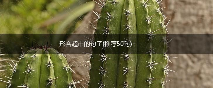 形容超市的句子(推荐50句),第1张