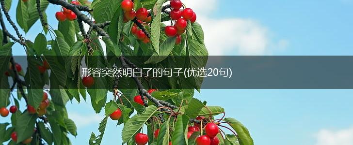 形容突然明白了的句子(优选20句),第1张