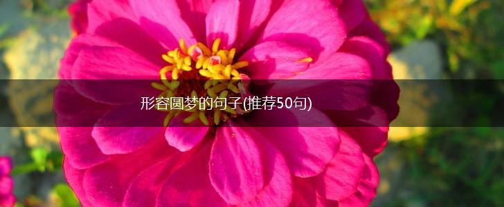 形容圆梦的句子(推荐50句),第1张