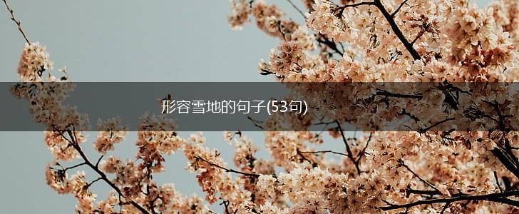 形容雪地的句子(53句),第1张