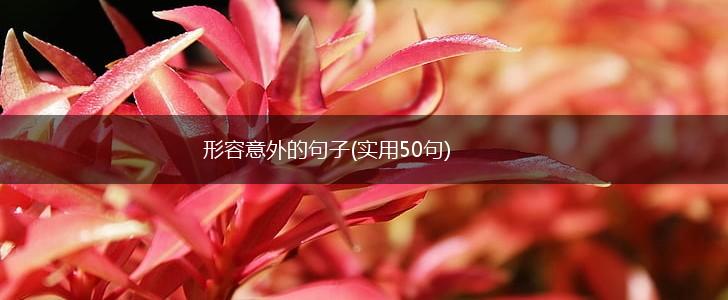 形容意外的句子(实用50句),第1张