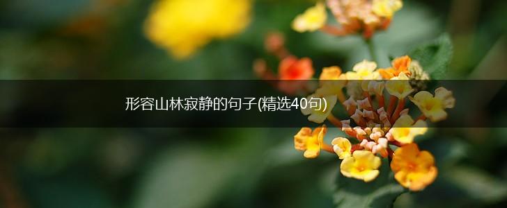 形容山林寂静的句子(精选40句),第1张