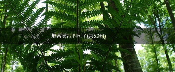 形容噪音的句子(共50句),第1张