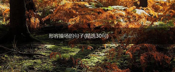 形容操场的句子(精选30句),第1张