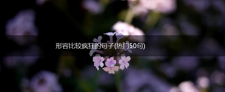 形容比较疯狂的句子(热门50句),第1张