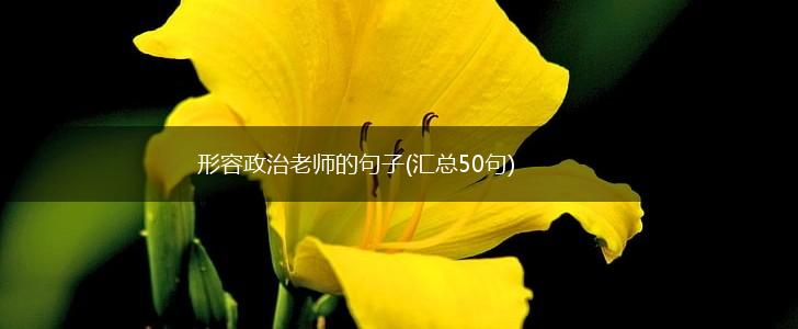 形容政治老师的句子(汇总50句),第1张