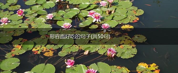 形容面好吃的句子(共50句),第1张