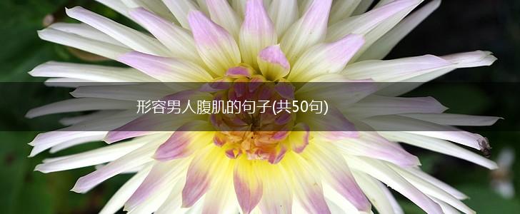 形容男人腹肌的句子(共50句),第1张
