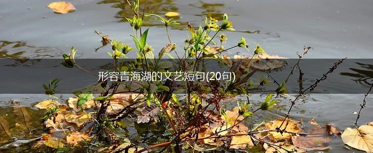 形容青海湖的文艺短句(20句),第1张