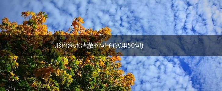 形容海水清澈的句子(实用50句),第1张