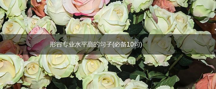 形容专业水平高的句子(必备10句),第1张 形容专业水平高的句子(必备10句),第1张