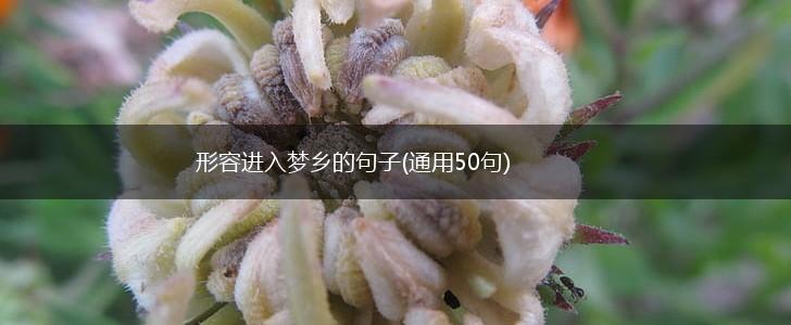 形容进入梦乡的句子(通用50句),第1张