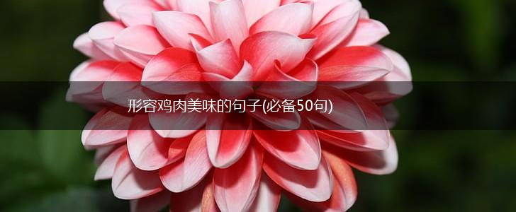 形容鸡肉美味的句子(必备50句),第1张