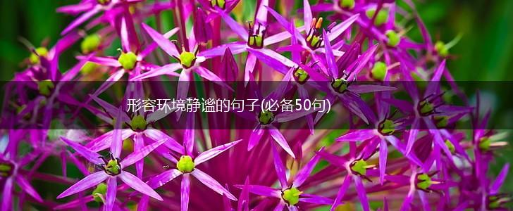 形容环境静谧的句子(必备50句),第1张