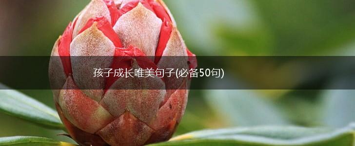 孩子成长唯美句子(必备50句),第1张