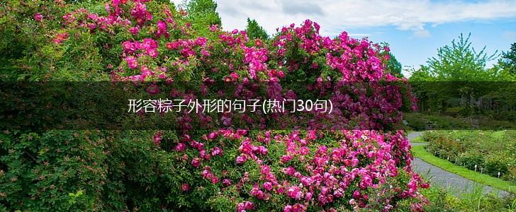 形容粽子外形的句子(热门30句),第1张 形容粽子外形的句子(热门30句),第1张