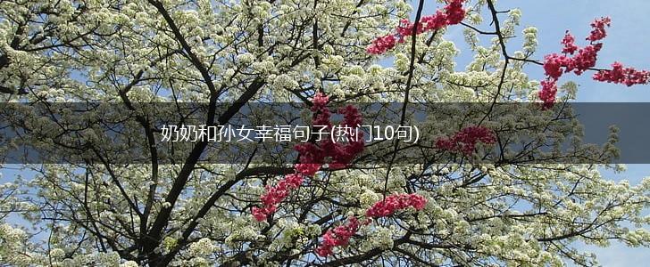 奶奶和孙女幸福句子(热门10句),第1张