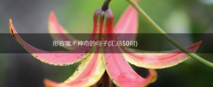 形容魔术神奇的句子(汇总50句),第1张