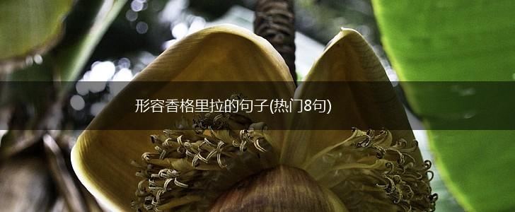 形容香格里拉的句子(热门8句),第1张