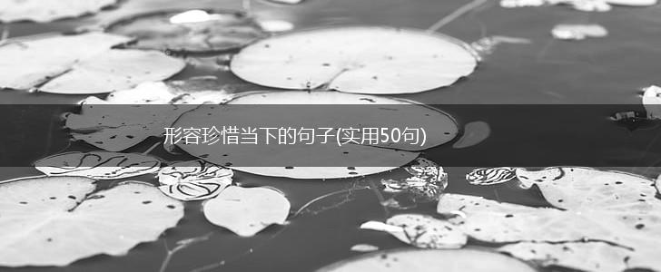 形容珍惜当下的句子(实用50句),第1张