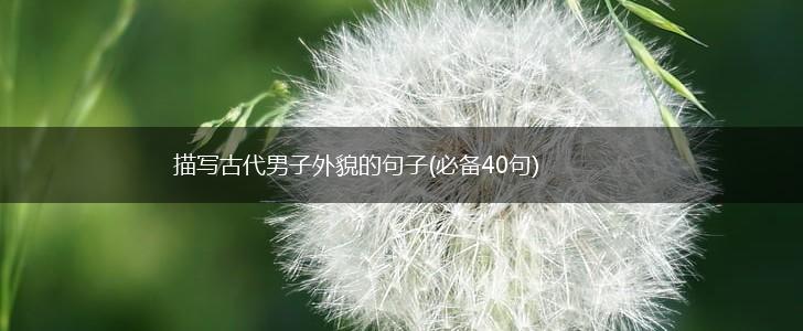 描写古代男子外貌的句子(必备40句),第1张