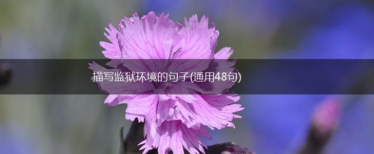 描写监狱环境的句子(通用48句),第1张