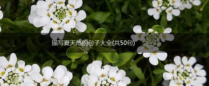 描写夏天热的句子大全(共50句),第1张