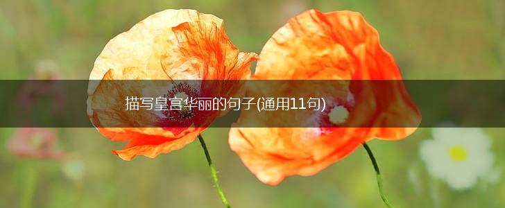 描写皇宫华丽的句子(通用11句),第1张