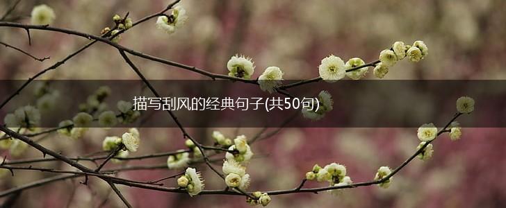 描写刮风的经典句子(共50句),第1张