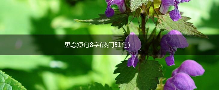 思念短句8字(热门51句),第1张