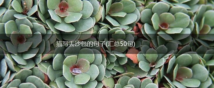 描写丢沙包的句子(汇总50句),第1张 描写丢沙包的句子(汇总50句),第1张