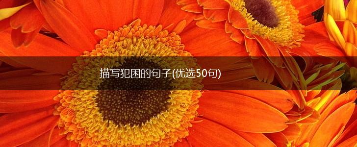 描写犯困的句子(优选50句),第1张