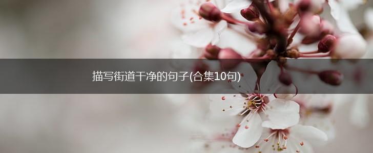 描写街道干净的句子(合集10句),第1张