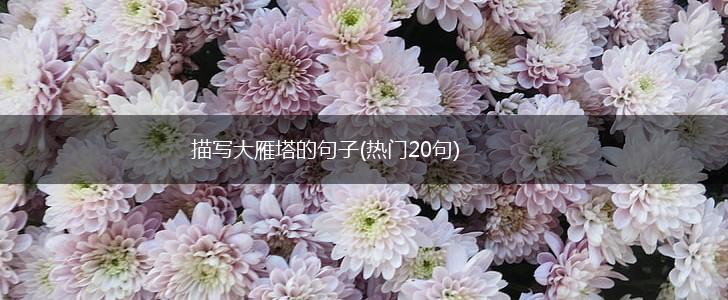 描写大雁塔的句子(热门20句),第1张