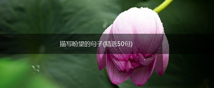 描写盼望的句子(精选50句),第1张