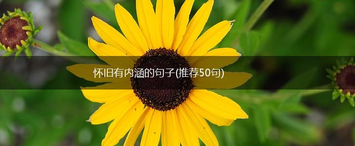 怀旧有内涵的句子(推荐50句),第1张