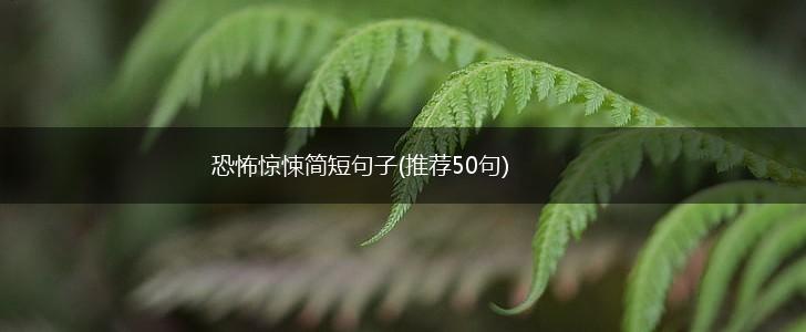 恐怖惊悚简短句子(推荐50句),第1张