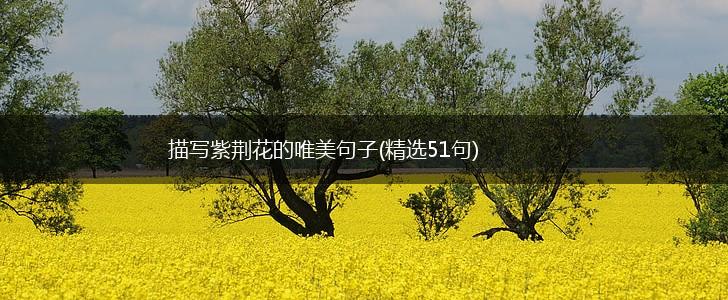 描写紫荆花的唯美句子(精选51句),第1张