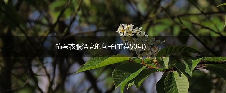 描写衣服漂亮的句子(推荐50句),第1张