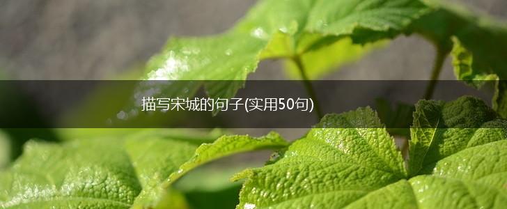 描写宋城的句子(实用50句),第1张
