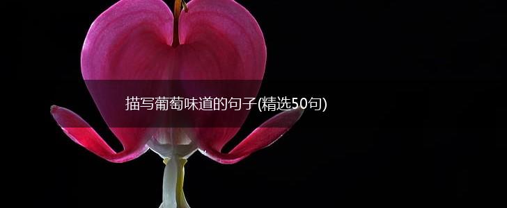 描写葡萄味道的句子(精选50句),第1张