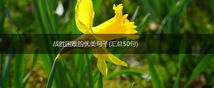战胜困难的优美句子(汇总50句),第1张