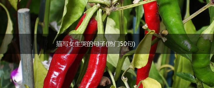 描写女生哭的句子(热门50句),第1张