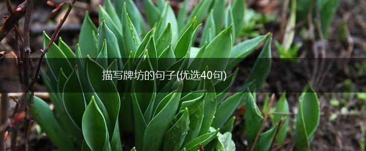 描写牌坊的句子(优选40句),第1张
