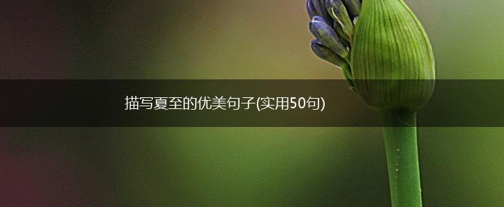描写夏至的优美句子(实用50句),第1张