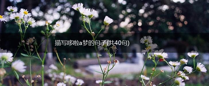 描写哆啦a梦的句子(共40句),第1张