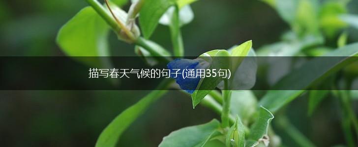 描写春天气候的句子(通用35句),第1张