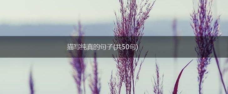 描写纯真的句子(共50句),第1张